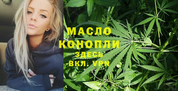 дживик Бородино