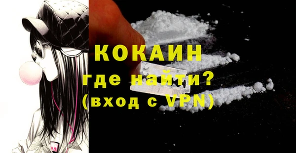 дживик Бородино