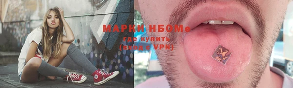 дживик Бородино