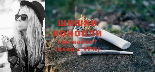 дживик Бородино