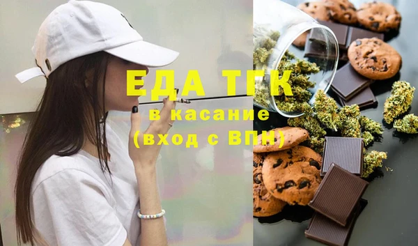 дживик Бородино