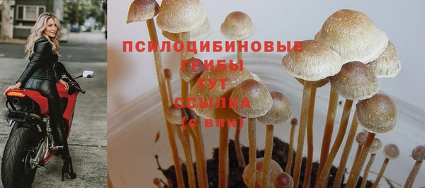 дживик Бородино
