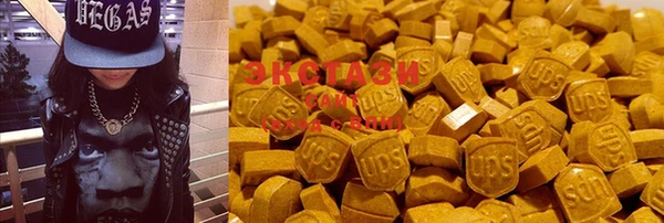крисы Бронницы