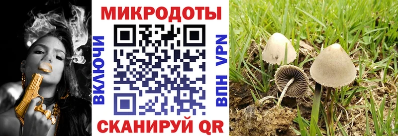 мориарти состав  Качканар  Галлюциногенные грибы Magic Shrooms 